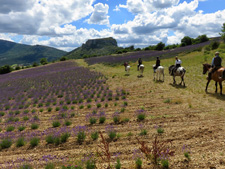 France-Provence-Provence Explorer Ride